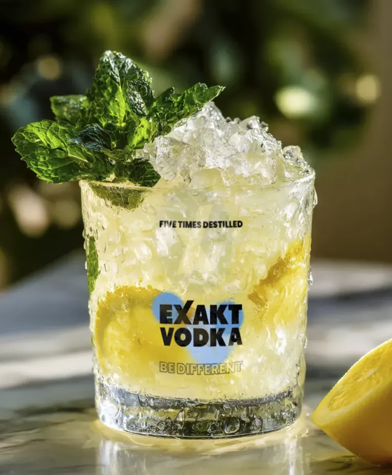 Ein Tumbler Glas mit Eis und Lemon Vodka Smash gefüllt