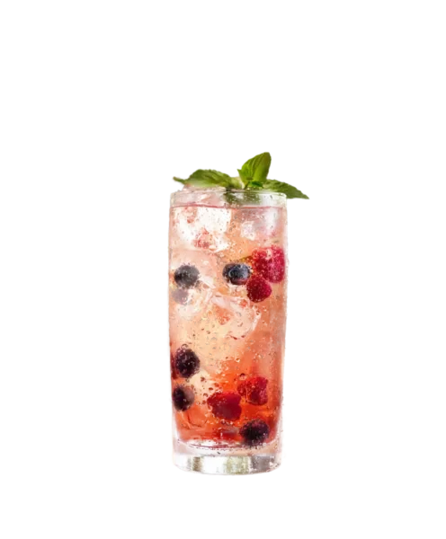 Berry Fizz: a summer treat with a fruity twist.