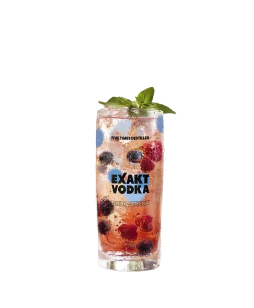 Berry Fizz ein sommerlicher Genuss mit fruchtigem Twist.