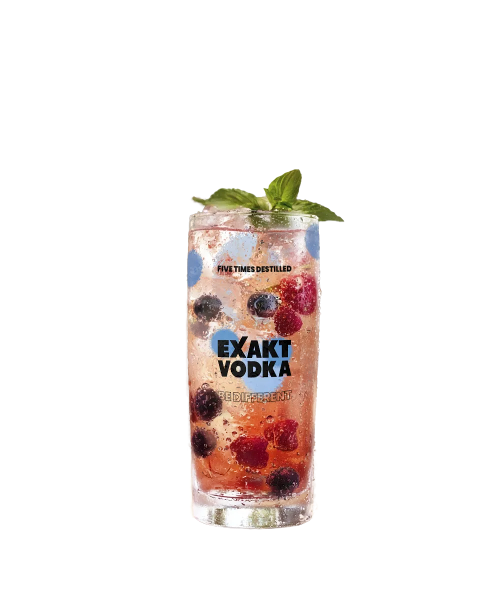 Berry Fizz ein sommerlicher Genuss mit fruchtigem Twist.