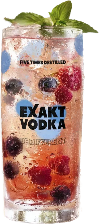 Berry Fizz – fruchtig, spritzig und unwiderstehlich: ein Cocktail mit Früchten und Minze.
