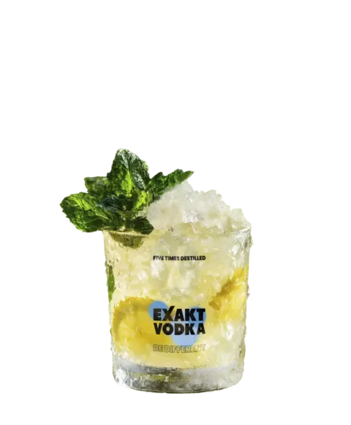 Lemon Vodka Smash – ein sommerlicher Drink mit Zitronen und Minze.