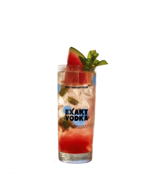 Watermelon Vodka Cooler – Sommerfeeling im Glas mit Wassermelone und Minze.